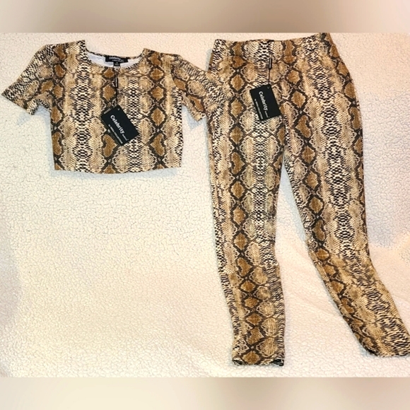 🔥NEW🔥2pc Crop Top Snake Print Set - Picture 2 of 9